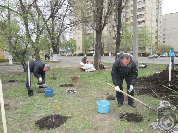 «Громадянський Корпус» взяв участь у благоустрої Дарницького району