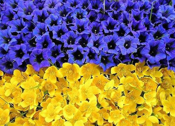 Дорогі друзі! 18 років тому Верховна Рада України, в ніч з 27 на 28 червня 1996 року ухвалила Конституцію нашої держави. Цим документом було офіційно закріплено правові основи незалежної України, суверенітету та територіальної цілісності, права та свободи громадян.  В наш непростий час, коли різні сили випробовують на міцність нашу державу,  бажаємо вам не втрачати віри в майбутнє, міцності духу та наснаги в здійсненні мрій! З повагою,  президент ГО «Громадянський Корпус»	Роман Солодкий