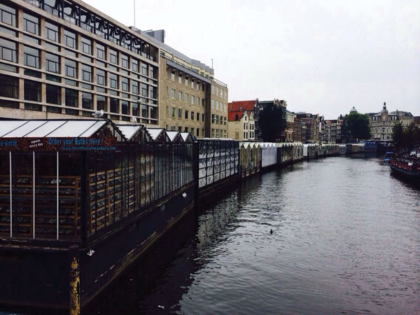 2015 01 27 mafy 15 niderlandy