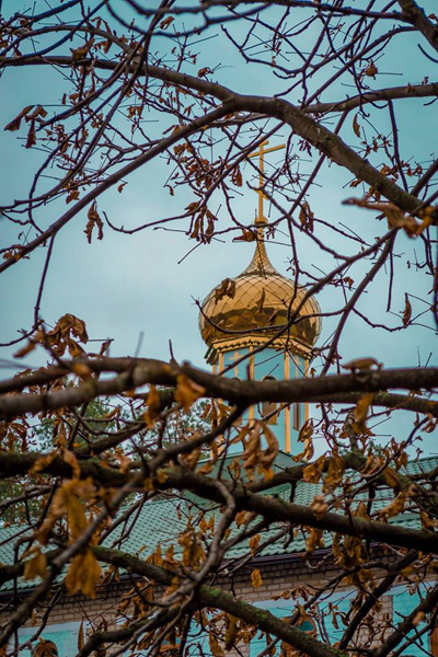 2015 11 24 angely donbas 12